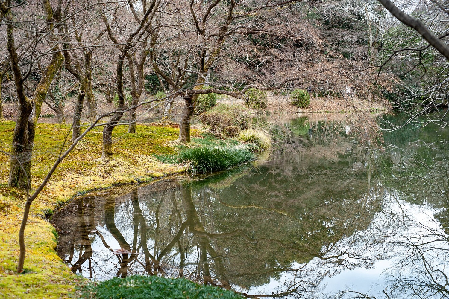 園内の池