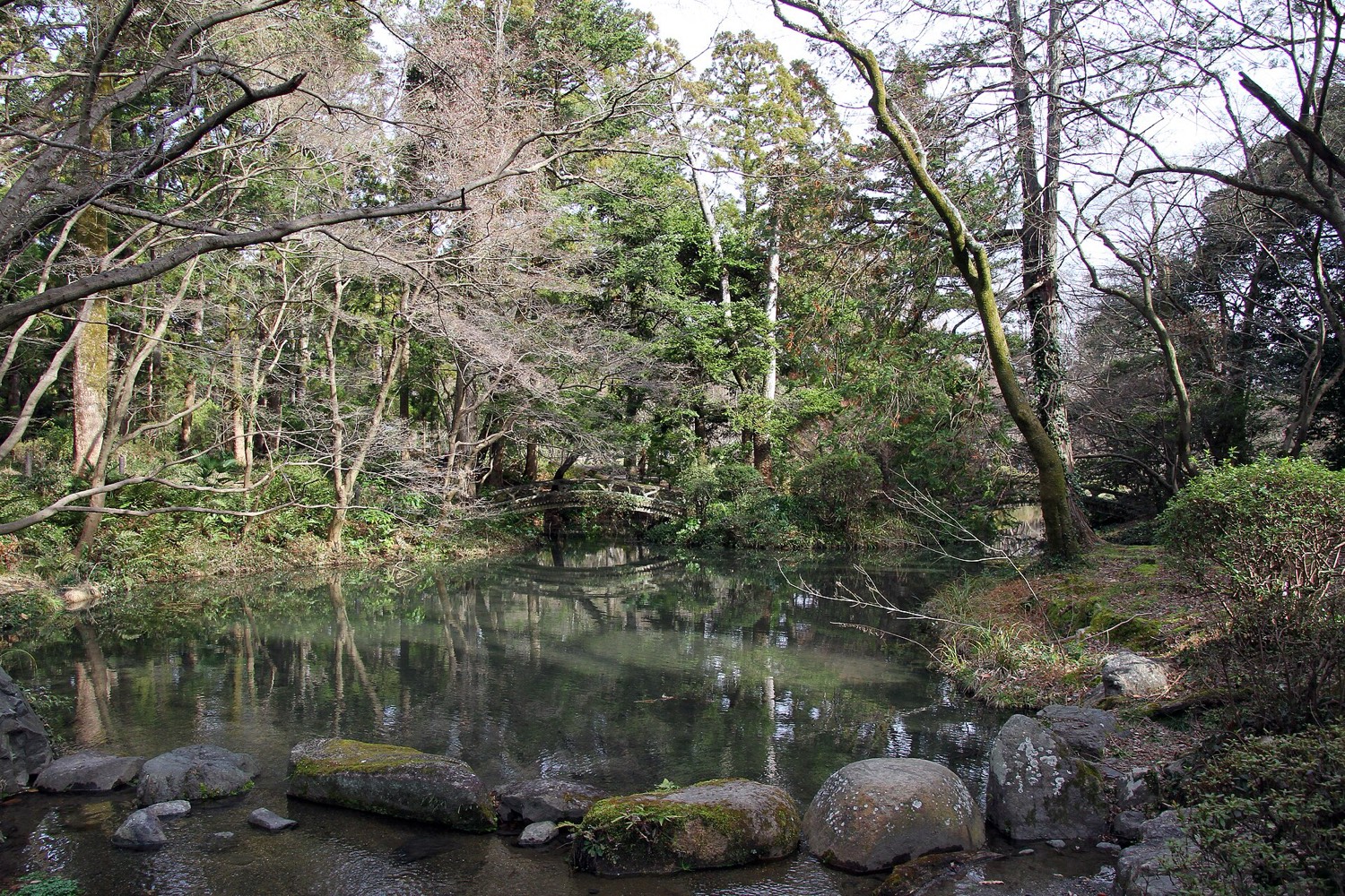 園内の水辺